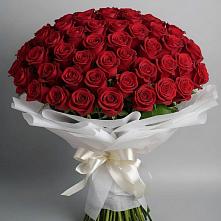 Букет 101 Красная роза Блэк Мэджик в Чернятино